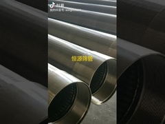 Roestvrij staal Johnson Wedge draad scherm spuitstuk op maat